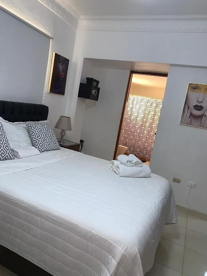 Entire Apartment Tu Nido De Amor Netflix Wifi Santo Domingo